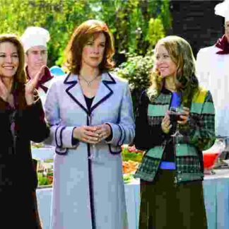Must Love Dogs (2005) Starring Diane Lane on DVD
