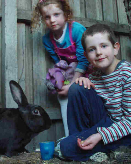 My Rabit Hoppy (2008) with English Subtitles on DVD - Image 4
