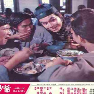 Nan dou guan san dou bei shao ye (1984) with English Subtitles on DVD