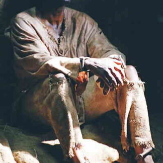 Nat Turner: A Troublesome Property (2003) Starring Herbert Aptheker on DVD
