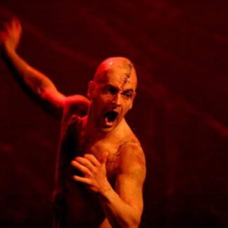 National Theatre Live: Frankenstein (2011) Starring Jonny Lee Miller on DVD