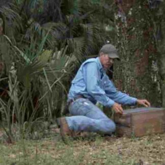 Nature My Life as a Turkey (2011) Starring Joe Hutto on DVD