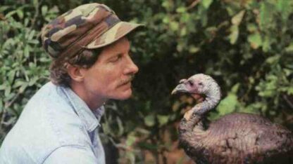 Nature My Life as a Turkey (2011) Starring Joe Hutto on DVD - Image 2