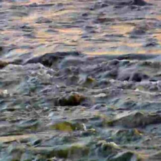 Nature River of No Return (2012) Starring  on DVD