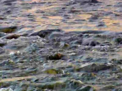 Nature River of No Return (2012) Starring  on DVD