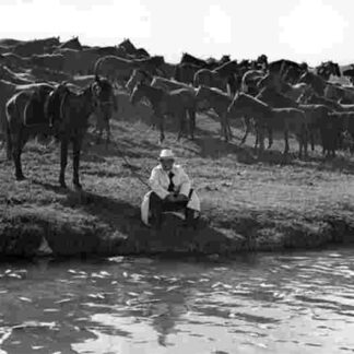 Nebo nashego detstva (1966) with English Subtitles on DVD