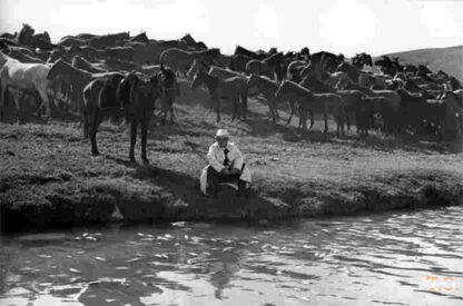Nebo nashego detstva (1966) with English Subtitles on DVD