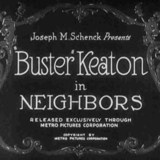 Neighbors (1920) Starring Buster Keaton on DVD