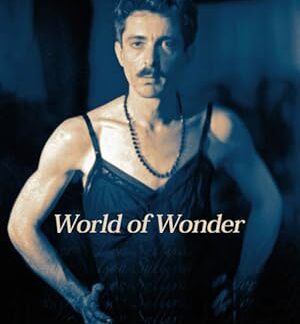 Nelson Sullivan's World of Wonder (1994) DVD