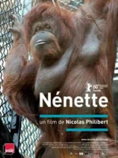 Nénette (2010) with English Subtitles on DVD - Image 3