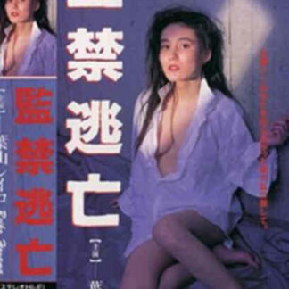 Never Comeback (1992) with English Subtitles on DVD