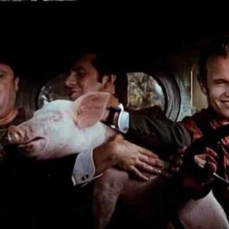 No More Mr. Nice Guy (1993) with English Subtitles on DVD