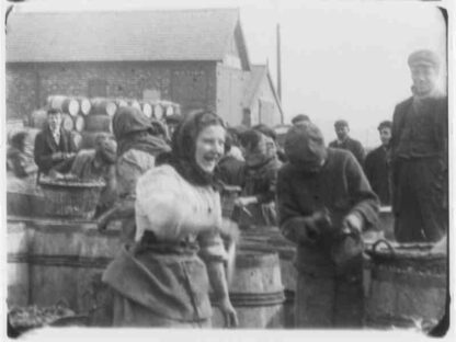 North Sea Fisheries, North Shields (1901) with English Subtitles on DVD