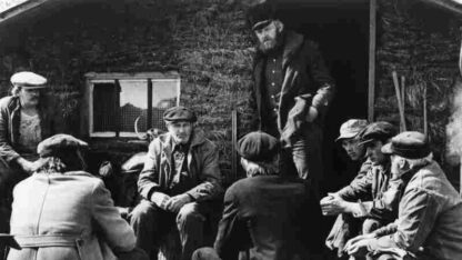 Northern Lights (1978) Starring Robert Behling on DVD - Image 3