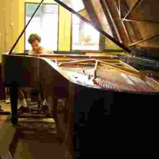 Note by Note: The Making of Steinway L1037 (2007) Starring Pierre-Laurent Aimard on DVD