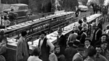 Nova domaca zivotinja (1964) with English Subtitles on DVD - Image 2