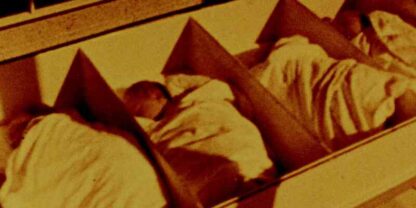 Nuclear Family (2001) Starring  on DVD