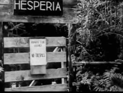 Nudist Land (1937) Starring Jerry Mannes on DVD - Image 3