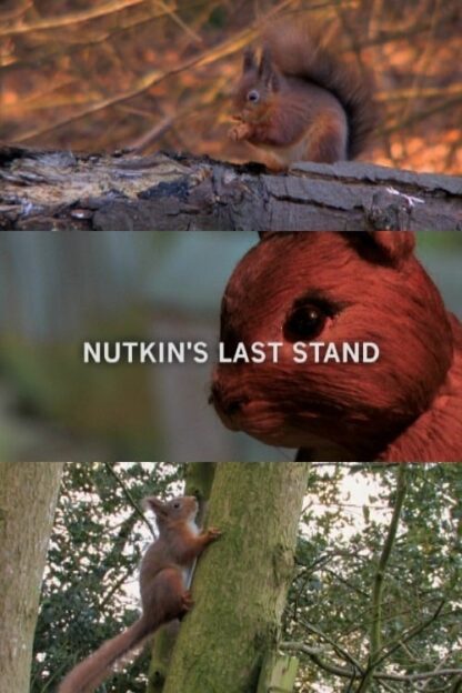 Nutkin's Last Stand (2009) DVD