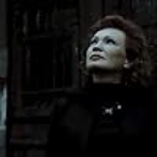 Nyugalom (2008) with English Subtitles on DVD