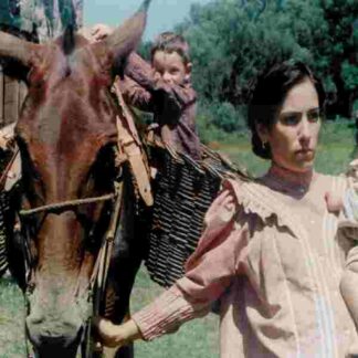 O Quatrilho (1995) with English Subtitles on DVD