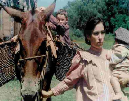 O Quatrilho (1995) with English Subtitles on DVD