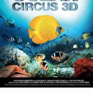 Ocean Circus 3D: Underwater Around the World (2012) with English Subtitles on DVD