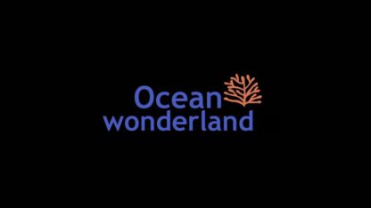 Ocean Wonderland (2003) Starring on DVD - Image 2