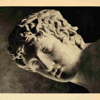 Olympia Part Two: Festival of Beauty (1938) with English Subtitles on DVD