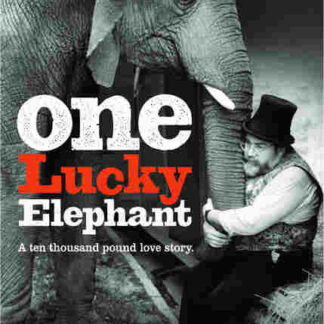 One Lucky Elephant (2010) Starring Ivor David Balding on DVD