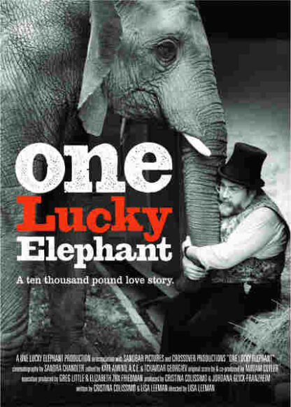 One Lucky Elephant (2010) Starring Ivor David Balding on DVD - Image 2