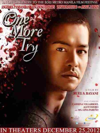 One More Try (2012) Starring Angel Locsin on DVD - Image 4