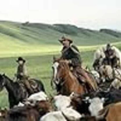 Open Range (2003) Starring Robert Duvall on DVD - Image 3
