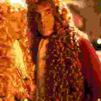 Orlando (1992) Starring Tilda Swinton on DVD