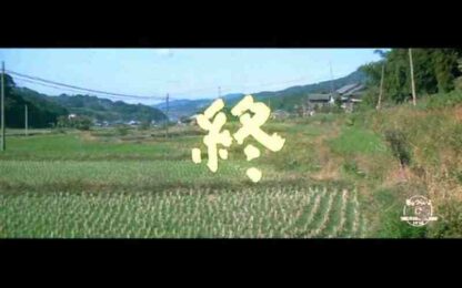 Otoko wa tsurai yo: Torajiro gambare! (1977) with English Subtitles on DVD