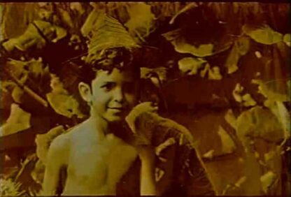 Páginas del diario de José Martí (1972) with English Subtitles on DVD