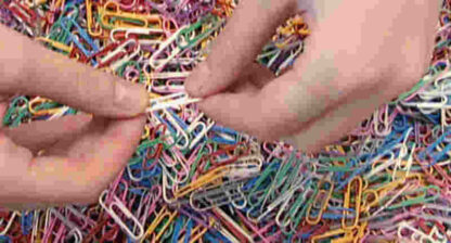 Paper Clips (2004) Starring Tom Bosley on DVD - Image 2