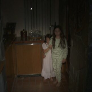 Paranormal Activity 3 (2011) Starring Chloe Csengery on DVD