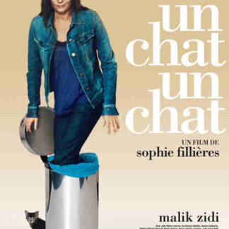 Pardon My French (2009) with English Subtitles on DVD