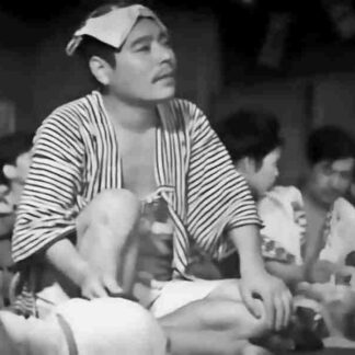 Passing Fancy (1933) with English Subtitles on DVD