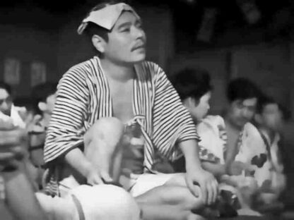 Passing Fancy (1933) with English Subtitles on DVD
