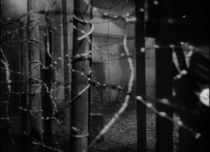 Pastor Hall (1940) Starring Wilfrid Lawson on DVD - Image 3