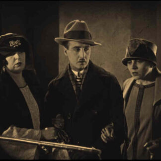 Paths to Paradise (1925) with English Subtitles on DVD