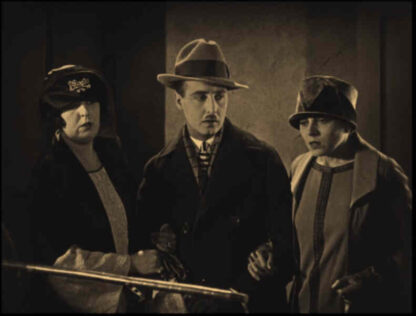 Paths to Paradise (1925) with English Subtitles on DVD - Image 5