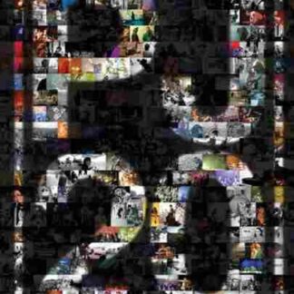 Pearl Jam Twenty (2011) Starring Cameron Crowe on DVD