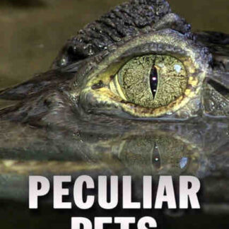 Peculiar Pets (2010) on DVD
