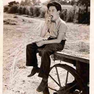 Penrod and Sam (1937) Starring Billy Mauch on DVD