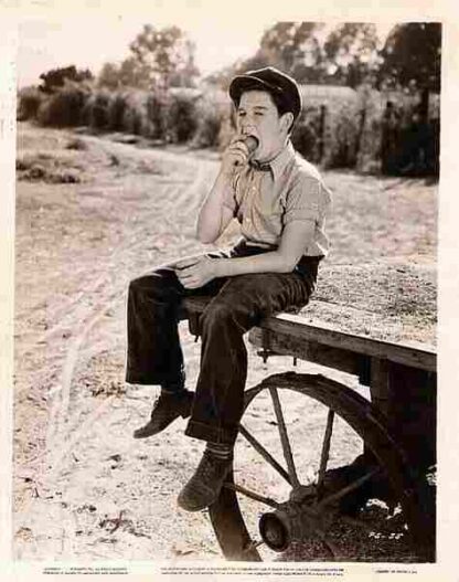 Penrod and Sam (1937) Starring Billy Mauch on DVD