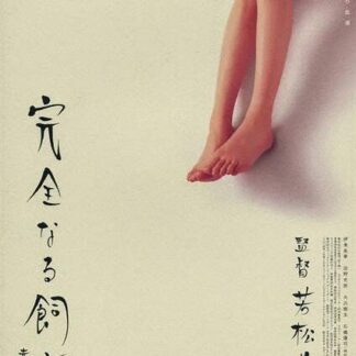 Perfect Education 6 (2004) with English Subtitles on DVD