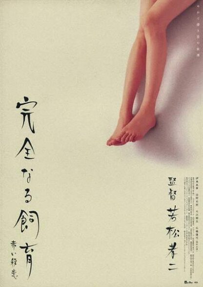 Perfect Education 6 (2004) with English Subtitles on DVD